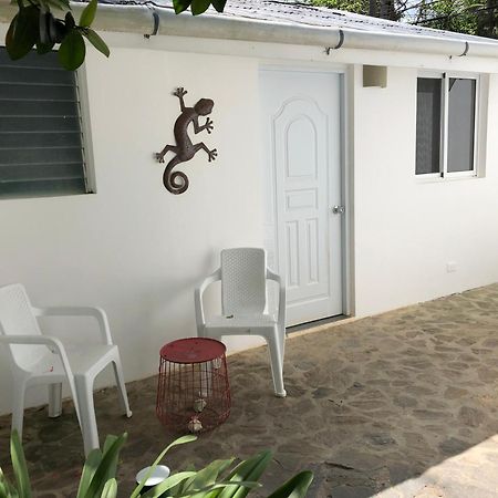Beach Hotel Casa Nina Las Terrenas Oda fotoğraf