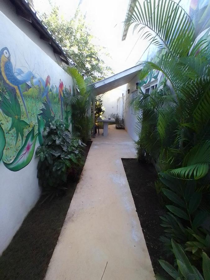 Beach Hotel Casa Nina Las Terrenas Dış mekan fotoğraf