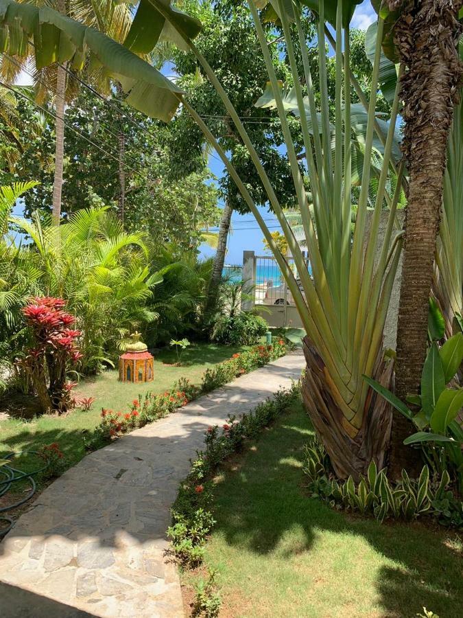 Beach Hotel Casa Nina Las Terrenas Dış mekan fotoğraf
