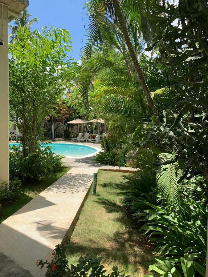 Beach Hotel Casa Nina Las Terrenas Dış mekan fotoğraf