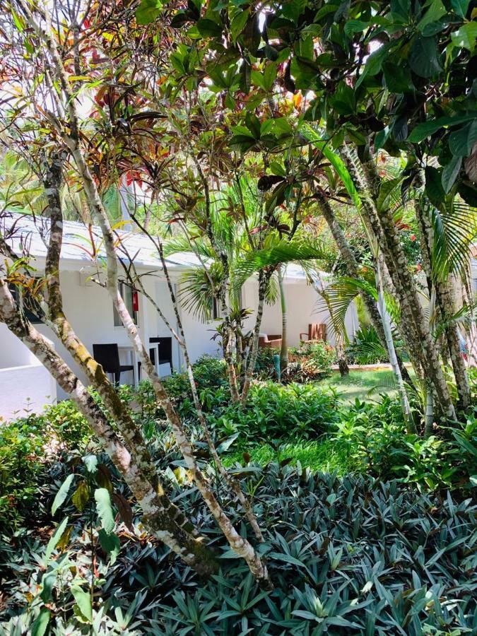 Beach Hotel Casa Nina Las Terrenas Dış mekan fotoğraf