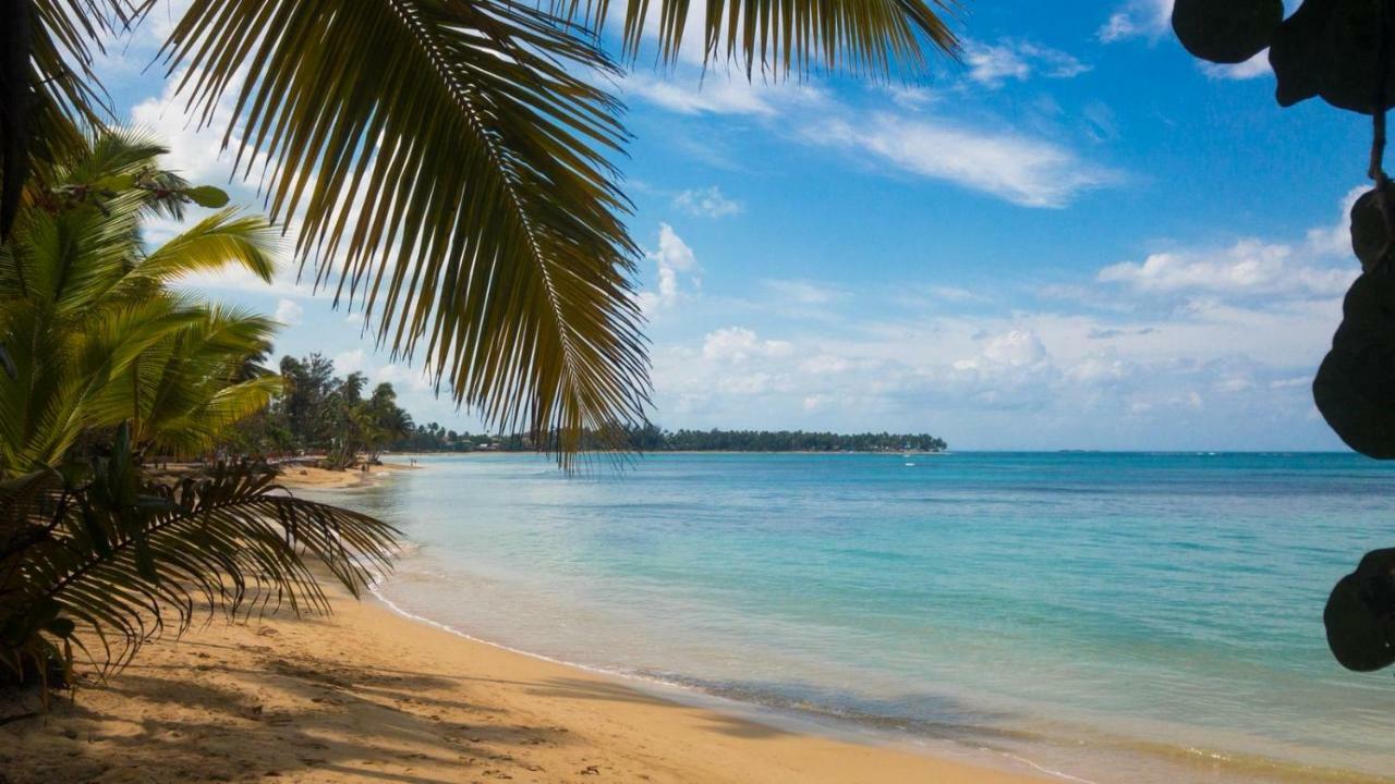 Beach Hotel Casa Nina Las Terrenas Dış mekan fotoğraf