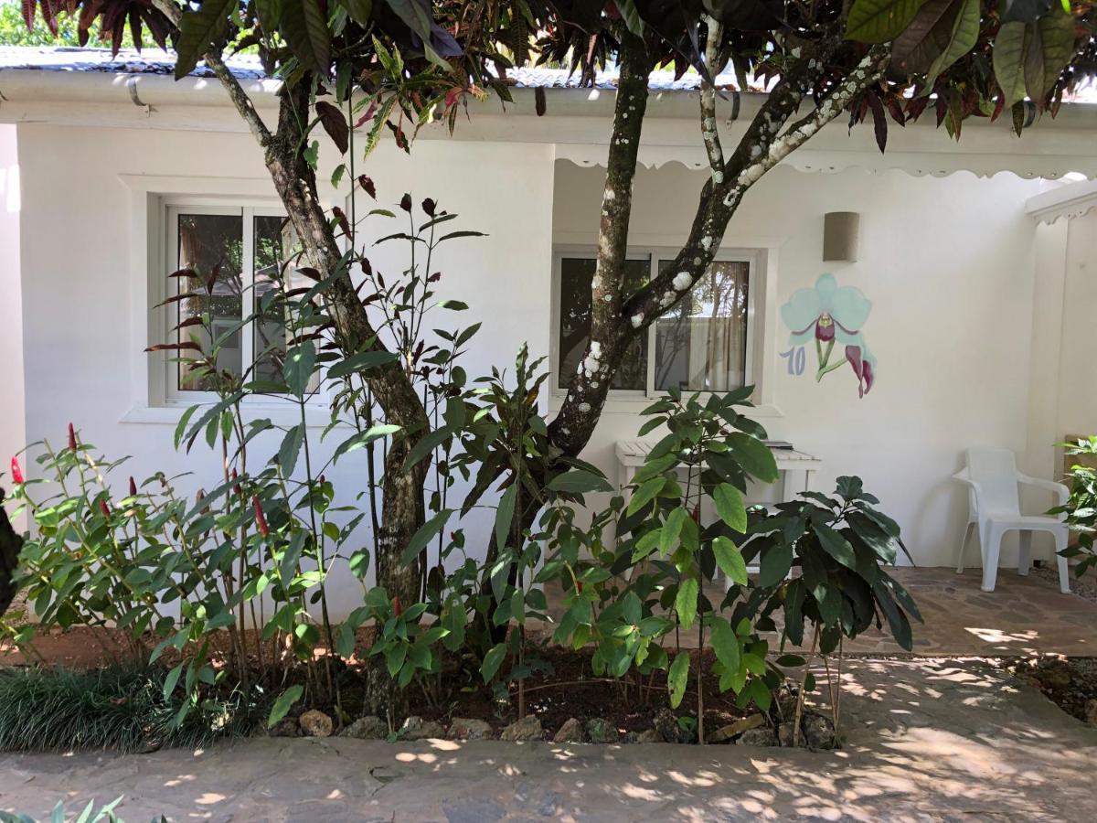 Beach Hotel Casa Nina Las Terrenas Dış mekan fotoğraf