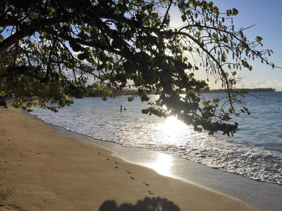 Beach Hotel Casa Nina Las Terrenas Dış mekan fotoğraf
